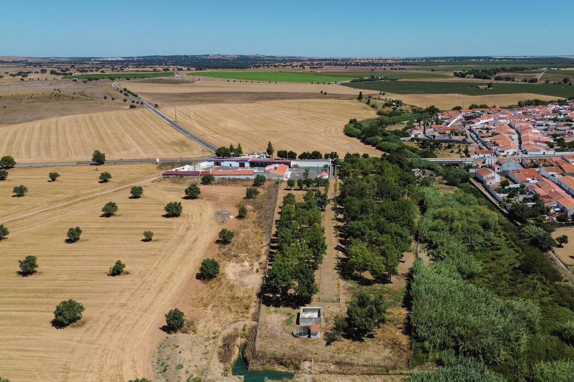 Luxury Equestrian Property