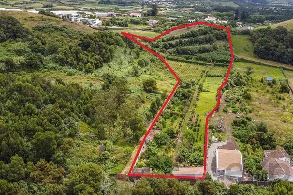 Farm with 23 000m2 with possibility of construction