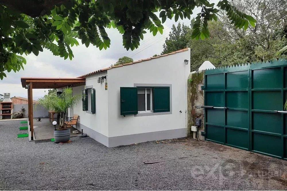 Farm with 23 000m2 with possibility of construction