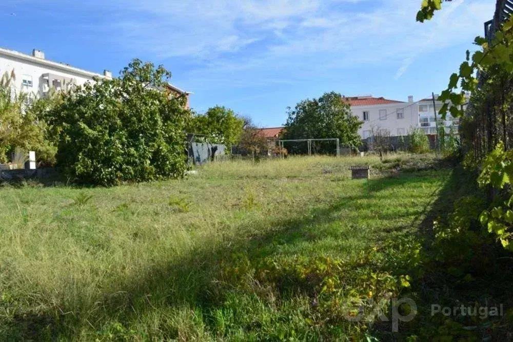 Osto: Tontti (1000)
