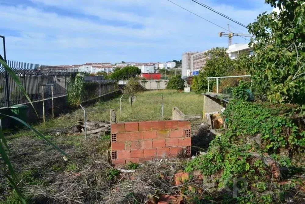 Osto: Tontti (1000)