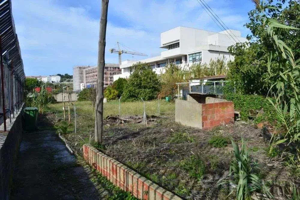 Osto: Tontti (1000)