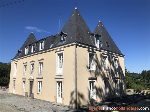 Renovated chateau with business opportunities