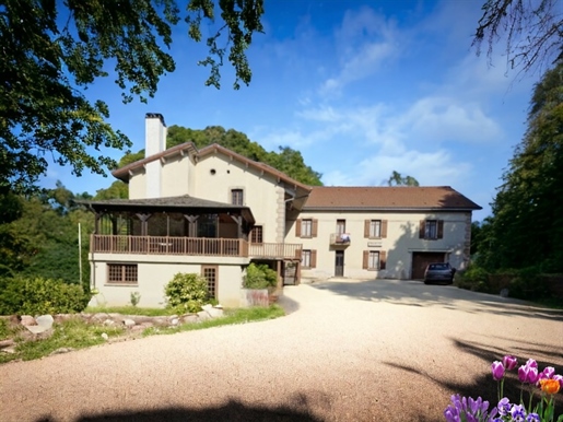 Dpt Vosges (88), à vendre proche de Contrexeville rare Moulin sur 2 hectares de terrain - à découvri