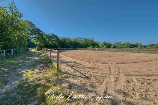 Hippisch terrein op 12,5 hectare