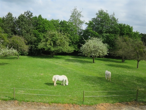 Kjøp: Hus (27480)