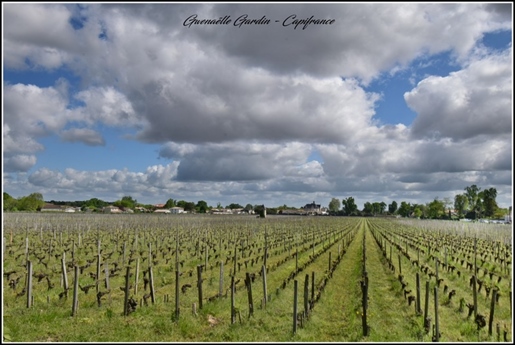 Pessac - Casa unifamiliar de 118 m² con terreno de 576 m²