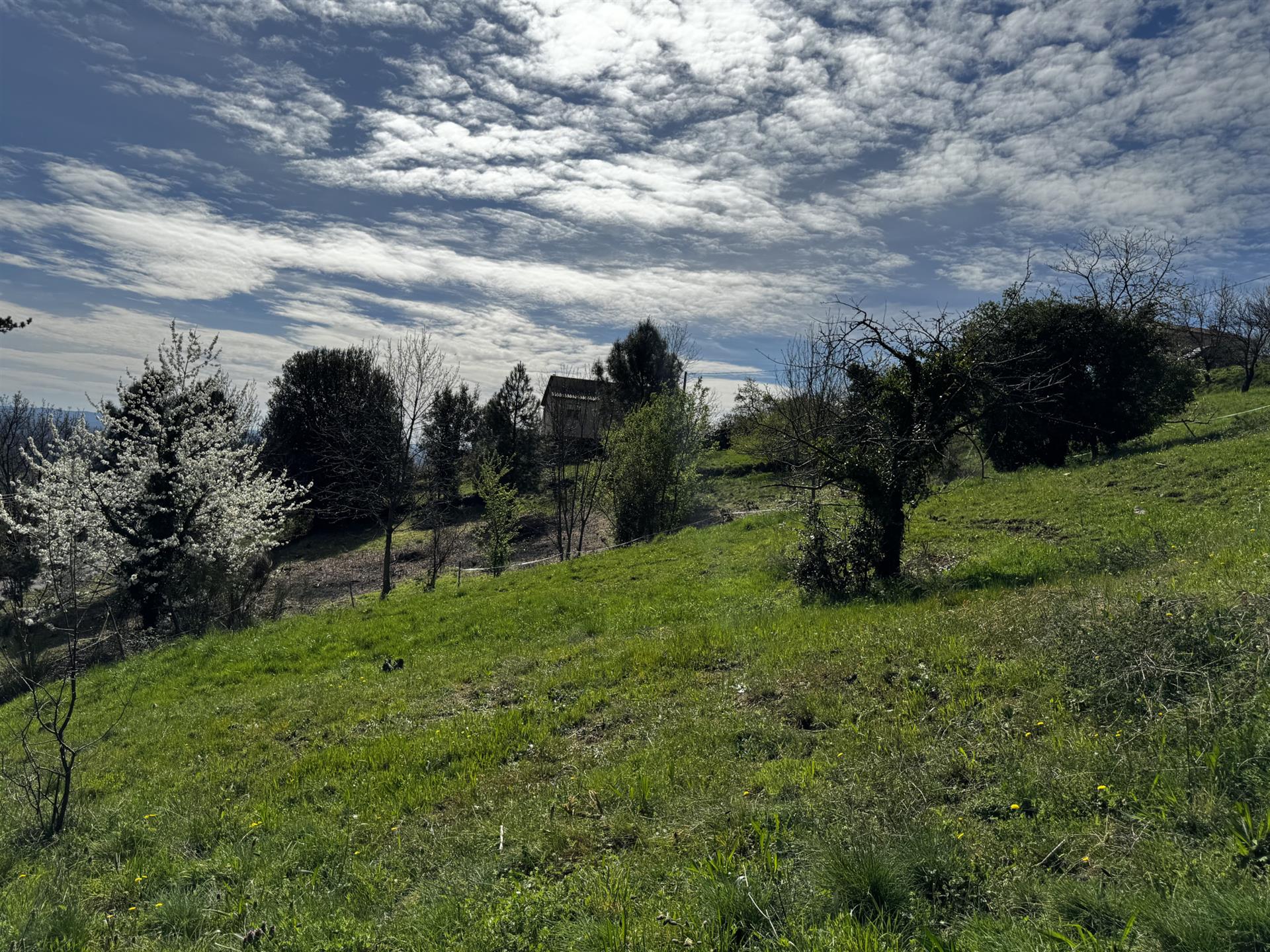 Köp: Tomt (07600)