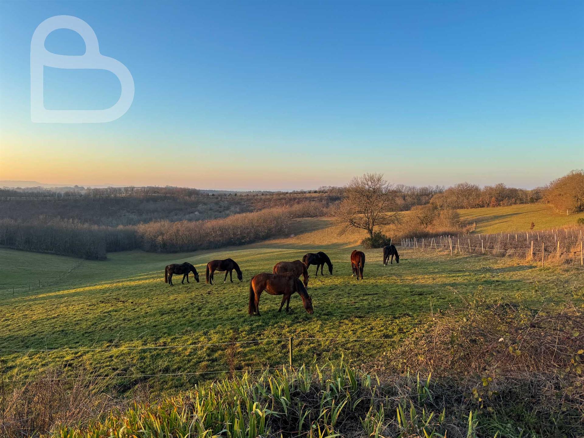 Equestrian property with renovated country house, gîte and swimming pool