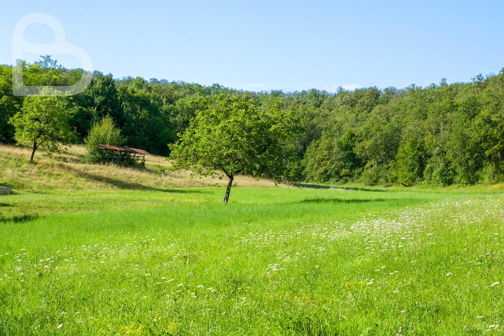 Beautiful stone house on 6ha of land