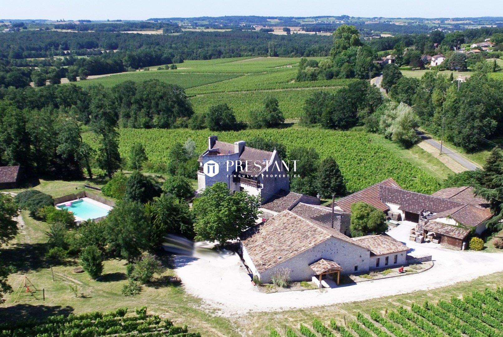 Vineyard