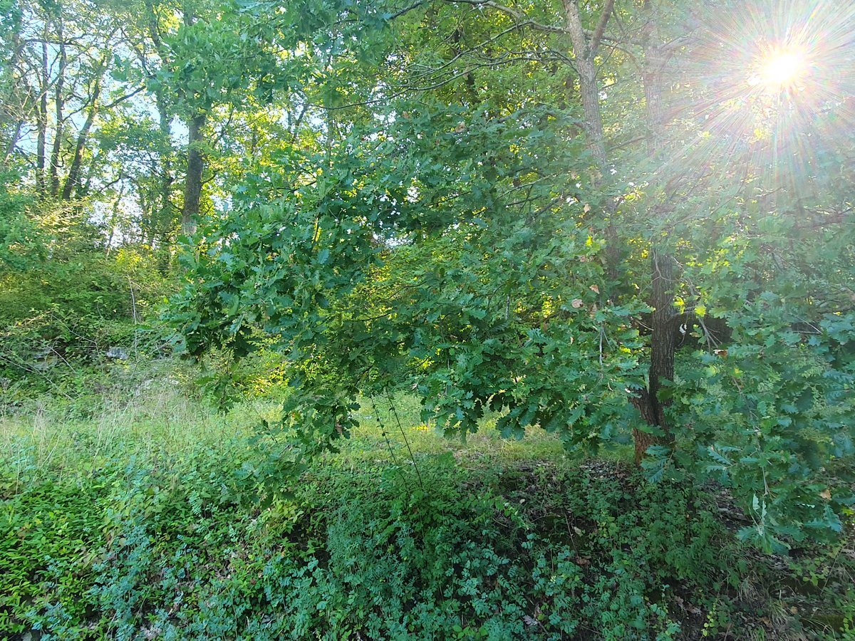 Maison à vendre, 108m², Sireuil