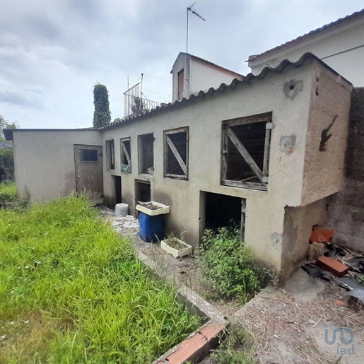 Tierra en el Coimbra, Montemor-o-Velho