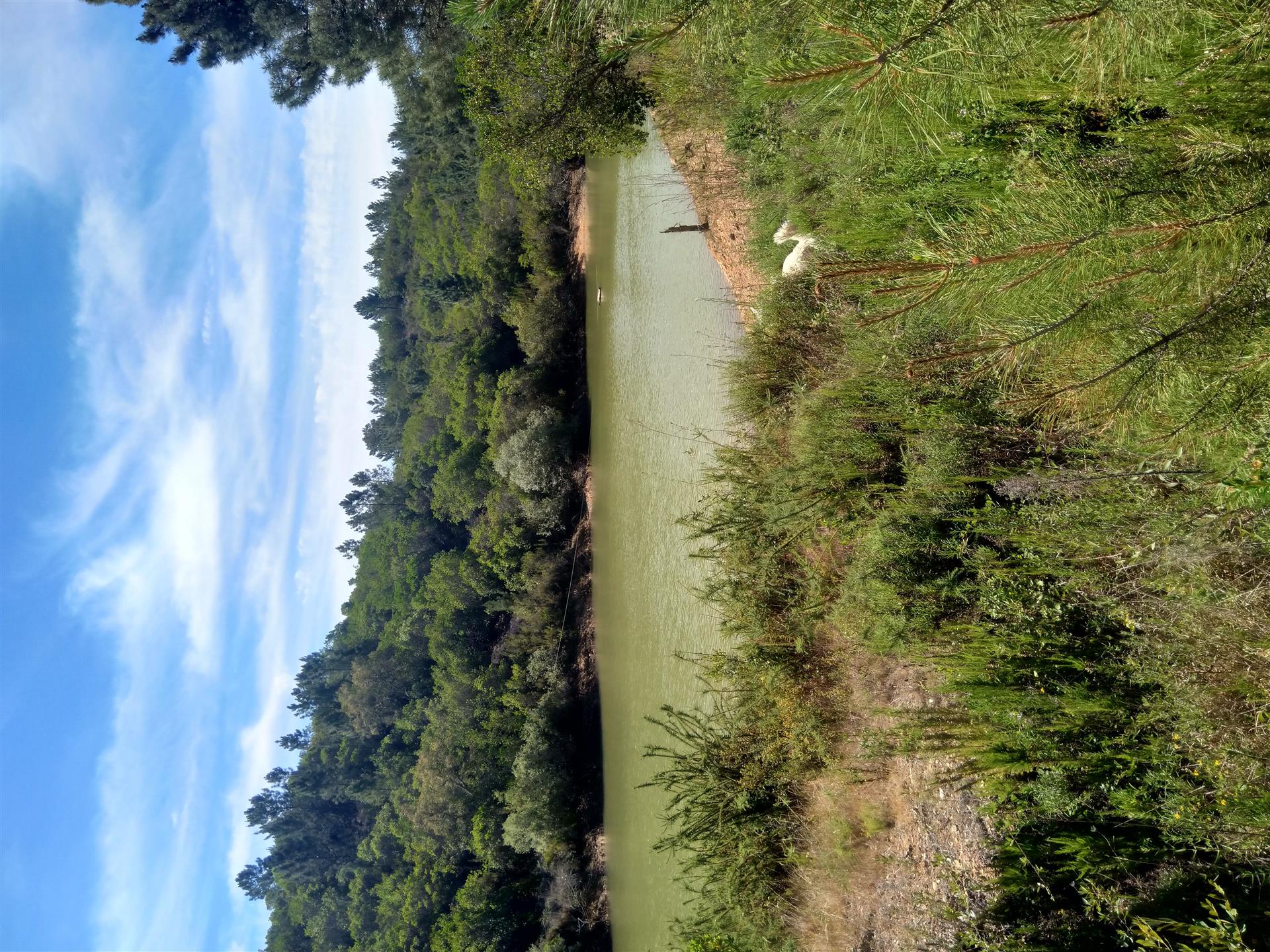 Fattoria equestre, 2 laghetti