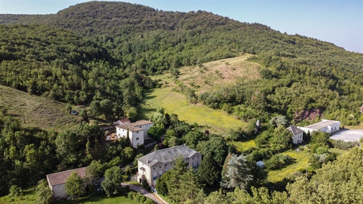 Saint Affrique, Aveyron, prachtig historisch pand, pension met 6ha grond, park, uier