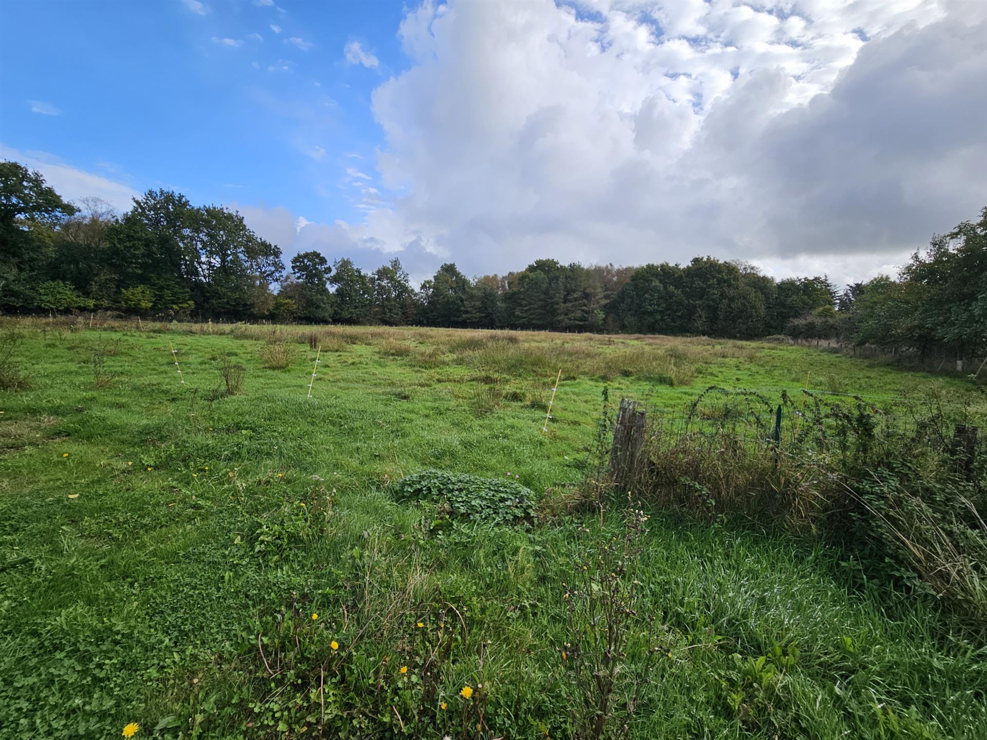 Landhaus mit 4 Schlafzimmern und großem Haustier Ideal Land