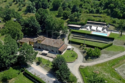 14 Bedrooms - Agriturismo - Florence Province - For Sale