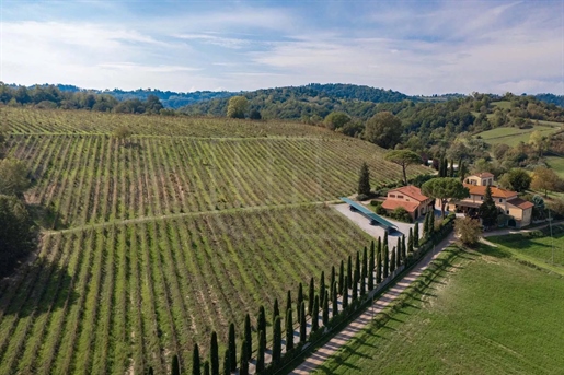 22 Quartos - Vinhedos e vinícolas - Província de Florença - Venda
