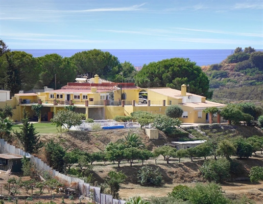 Prachtig landgoed met 2 huizen op groot perceel te koop in El Padron, Estepona
