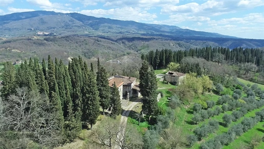 Historisches 19 Hektar großes Anwesen, 25 km von Florenz entfernt