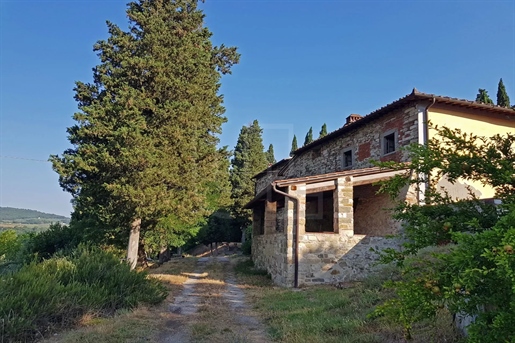 Historisch landgoed van 19 hectare op 25 km van Florence