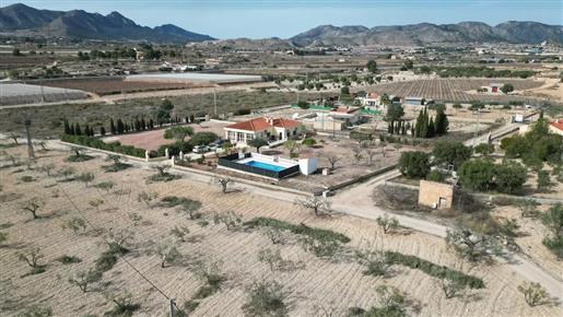 Kompletně zrekonstruovaná samostatně stojící vila (2023) mezi La Romana a Hondon de las Nieves s vl