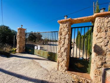 Beautiful olive grove & its cosy house in Pinoso