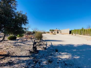 Precioso olivar y su acogedora casa en Pinoso