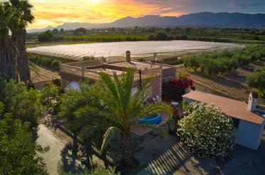 Típica casa de campo española en Crevillente con piscina y terreno con árboles frutales. 