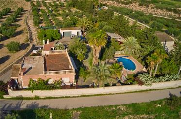 Típica casa de campo española en Crevillente con piscina y terreno con árboles frutales. 