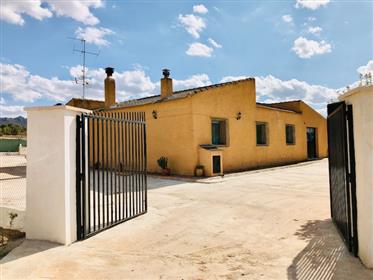 Well-Maintained finca in a dream location in Yecla
