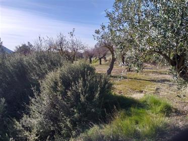 Building plot with panoramic views in Balones-Alcoy