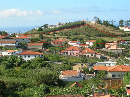 Terrain Avec 7600 m2 - São Martinho