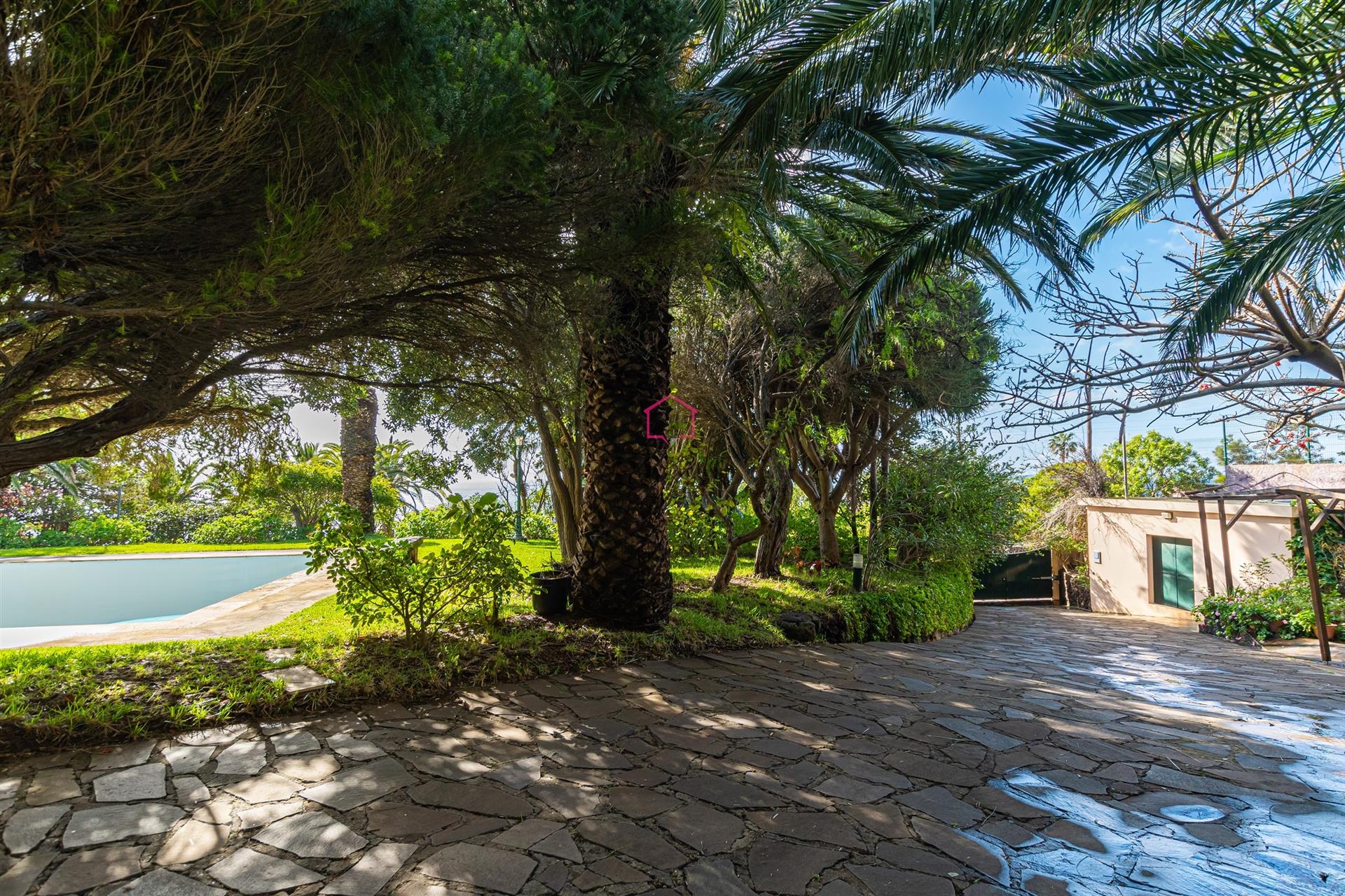 Luxury Mansion with Sea View - T3 in Caniçal