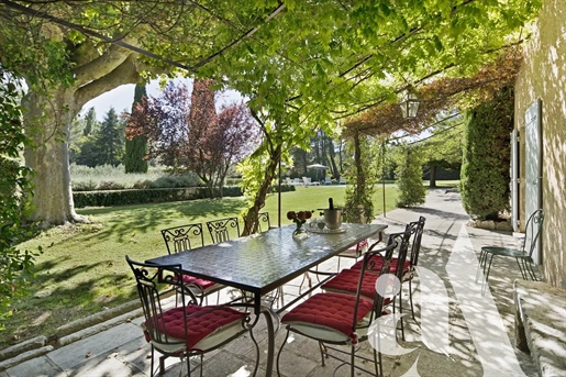 Saint-Remy-De-Provence - Renovated Farmhouse