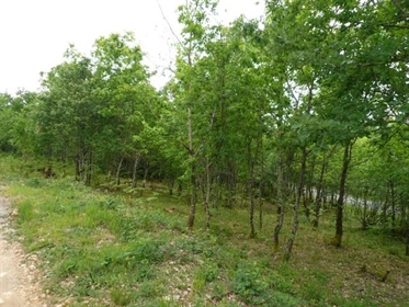 Montcabrier. Building land with positive wooded and partly bounded Cu. Dominant location in the coun