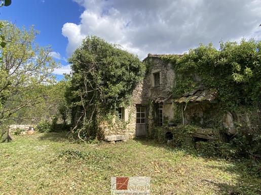 Village house