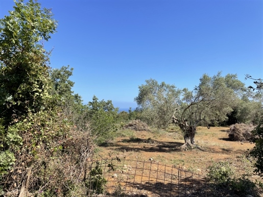 Plot with building license near Rethymno