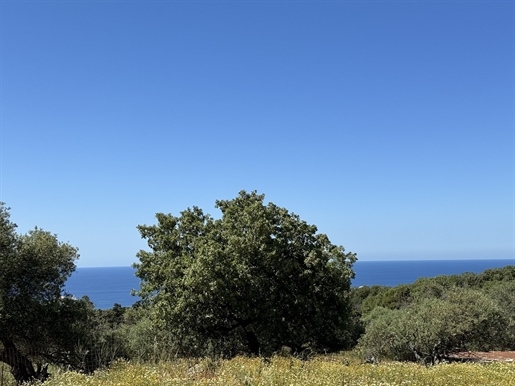 Unverbaubares Meerblickgrundstück am Rande von Atsipopoulo.
