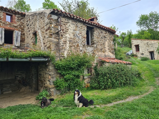 Bauernhaus und Gîte, auf 20 ha, Pyrénées Orientales