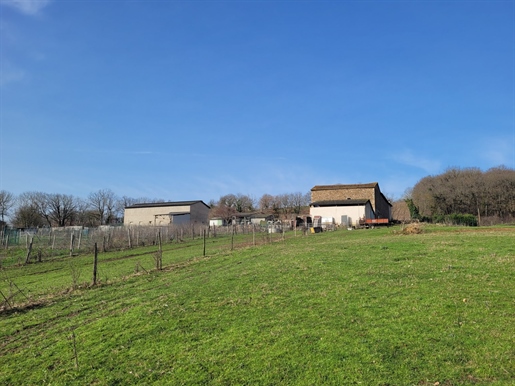 Farm ideal dog breeding close Aveyron