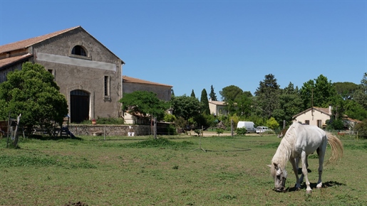 Typisches Bauernhaus auf 6ha50 mit Blick auf die Sümpfe der Petite Camargue ent