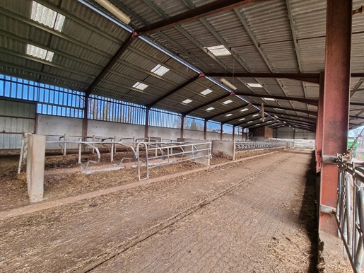 Explotación agrícola de 34 ha con graneros y edificios