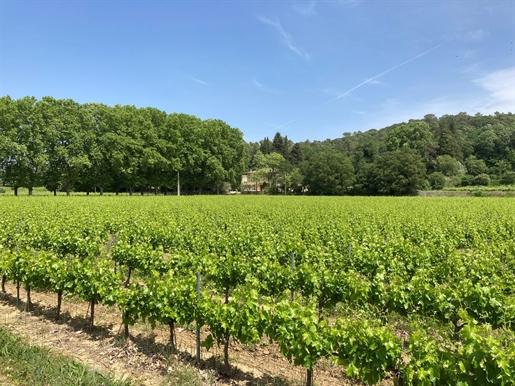 Château viticole Aop Côtes du Rhône, 15 ha de vignes, terres