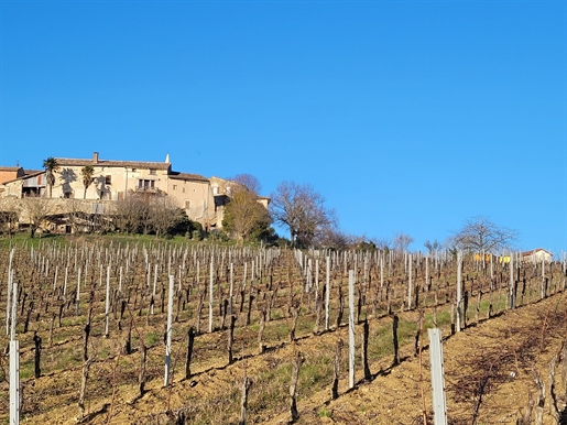 Set of 3 gîtes and 6 ha wine estate near Gaillac