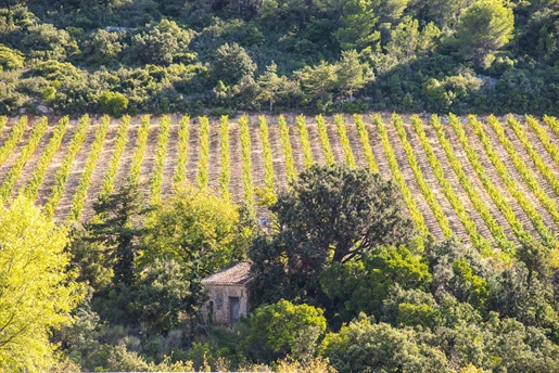 Propriété viticole et sa cave, 30 ha en Aop