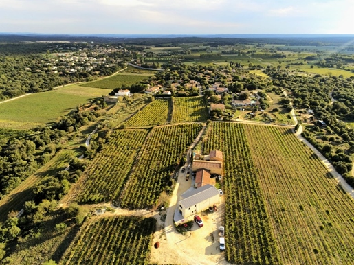 Cave particulière moderne et Domaine viticole familial en zone