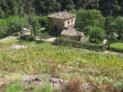 Extensively restored Cévenol farmhouse and its outbuildings within a