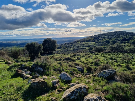 Bergerie de 135 ha dans la vallée de l'Hérault