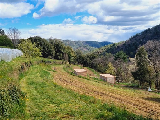 Farmhouse in the Cévennes has been extensively restored as an equestrian farm and has been renovate